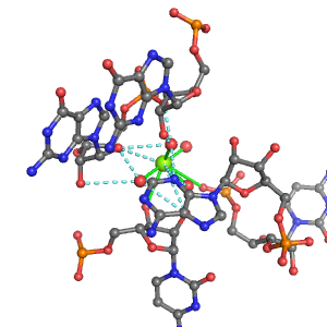 MgRNA representative site for type PO-3RO-BO      