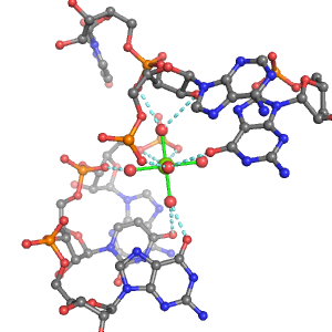 MgRNA representative site for type 4PO-RO-3BO     