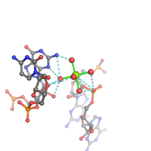 MgRNA representative site for type PO-2RO-BO      