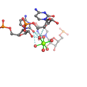 MgRNA representative site for type 2RO-2BO        