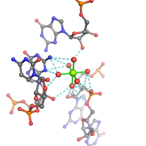 MgRNA representative site for type PO-4RO-BO      