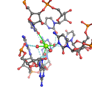 MgRNA representative site for type RO-7BO         