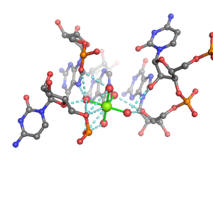 MgRNA representative site for type 2PO-3RO-2BO    