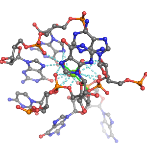 MgRNA representative site for type 4PO-3RO-2BO    